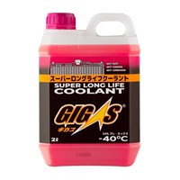 GIGAS SLLC -40 PINC (2L) 10097